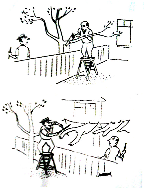 热血少年漫画封面